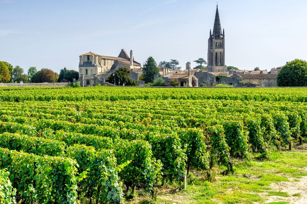 Saint-Émilion: Wine and History