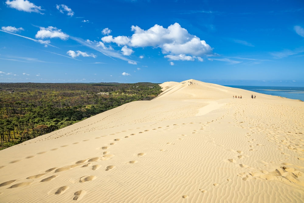 The Dune of Pilat: Europe's Tallest Sand Dune