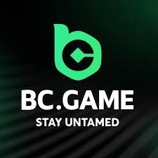 Discover the Exciting BC.Game Welcome Bonus
