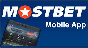 Your Ultimate Online Hub Discover Everything You Need in One Place